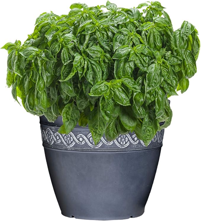 Classic Home and Garden Corinthian Resin Flower Pot Planter, Storm Blue - Image 3