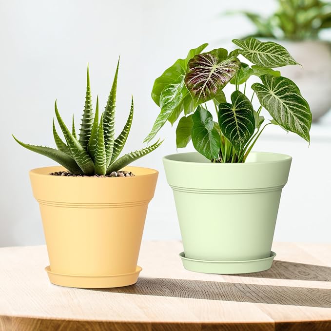 4 Inch Plastic Plant Pots with Drainage Holes and Trays – 8 Pack Small Nursery - Image 6