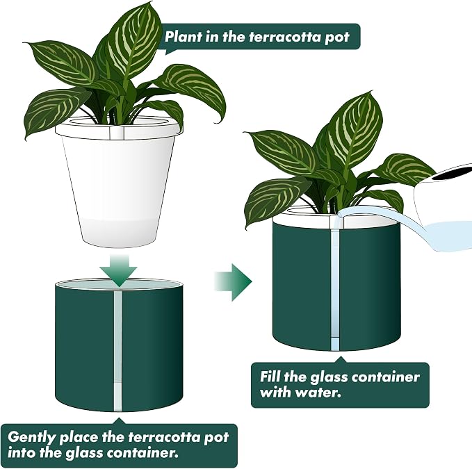 D'vine Dev 10 Inch Design Self Watering Planter - Image 5