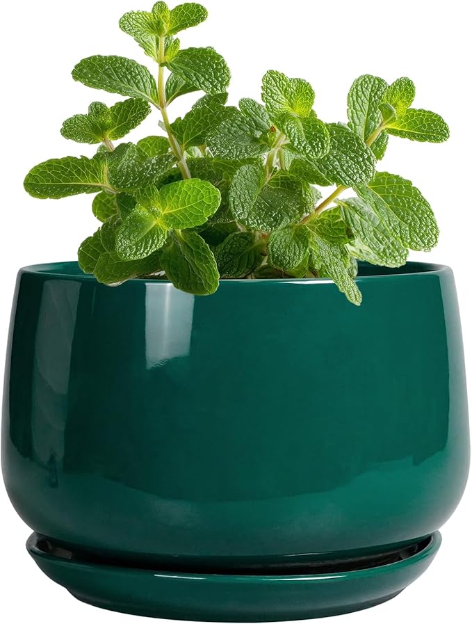 G EPGardening 4 inch Plant Pots by GEPGardening