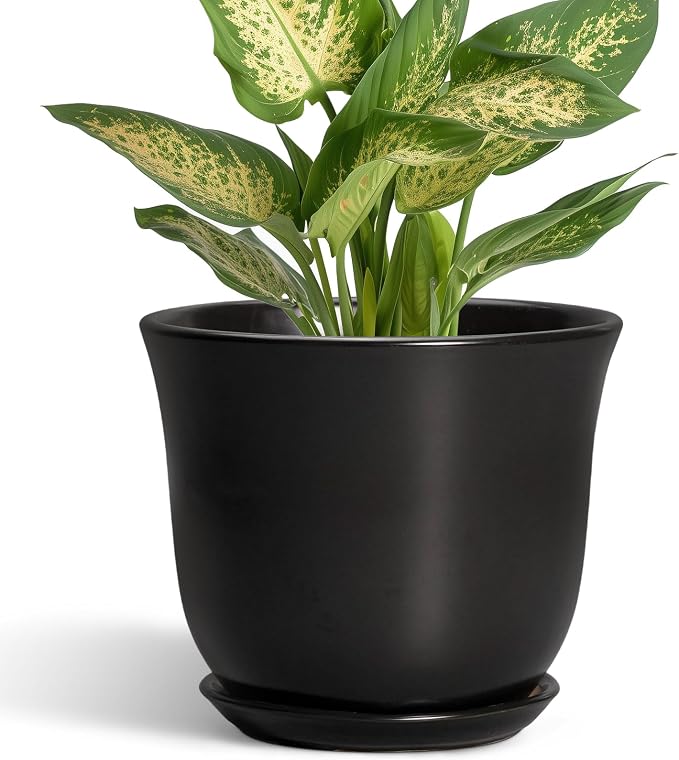Ceramic Planter by SUNPOTFOR