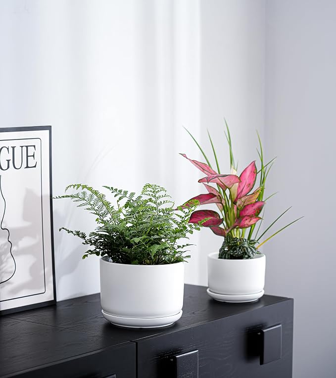 Ton Sin Plant Pots, 4.1+5.1+6.5 inch, Ceramic Planters - Image 5