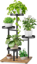 iDavosic.ly 4 Tier Plant Stand Indoor, Tiered Corner Flower Holder Shelf Outdoor by iDavosicly
