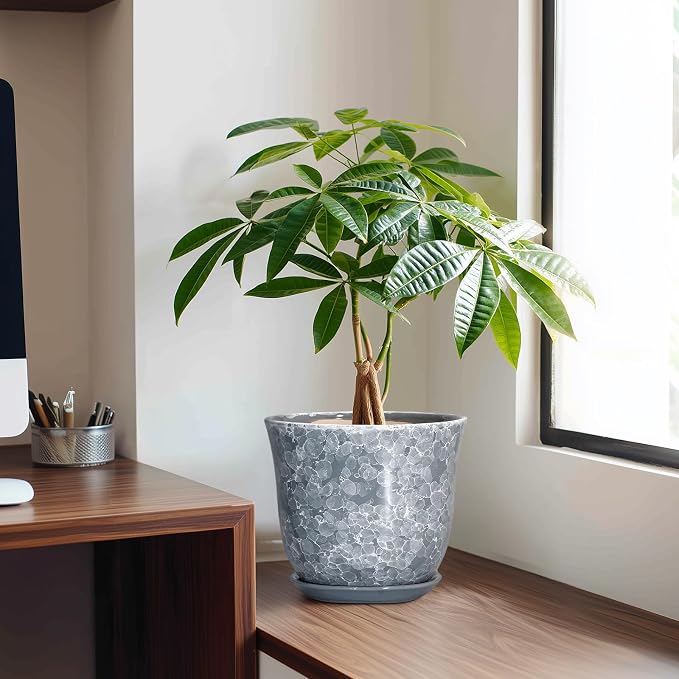 Ceramic Plant Pots - Image 3