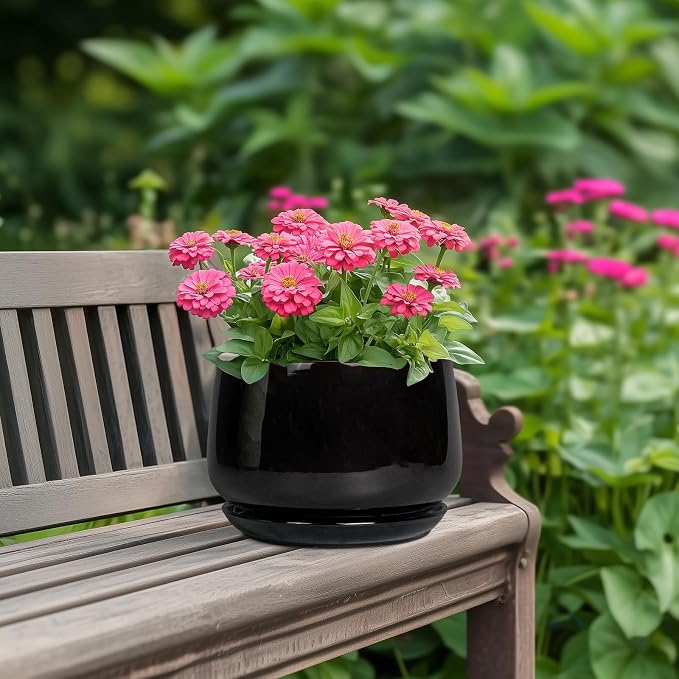 G EPGardening Ceramic Planter 7 Inch - Image 4