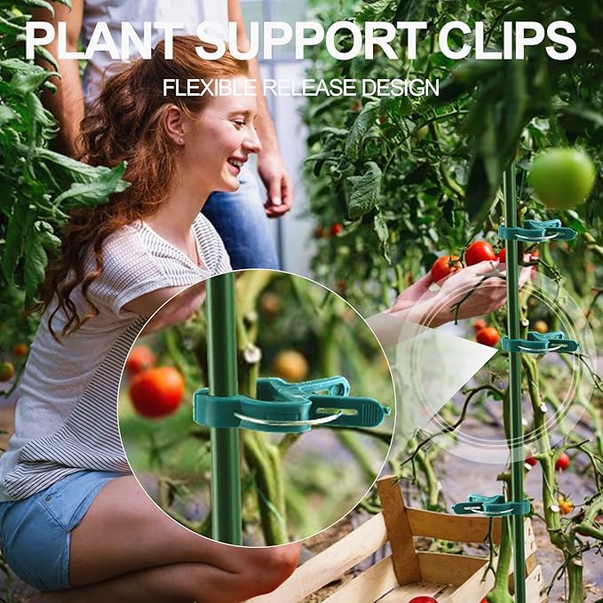 40 Pcs Plant Support Clips, Flower and Vine, Garden Tomato Plant Support Clips - Image 3