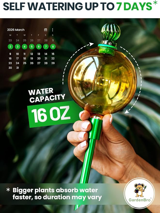 16 Oz Plant Watering Globes for Indoor Plants - Image 2