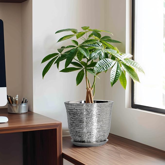 Ceramic Pots for Plants - Image 3