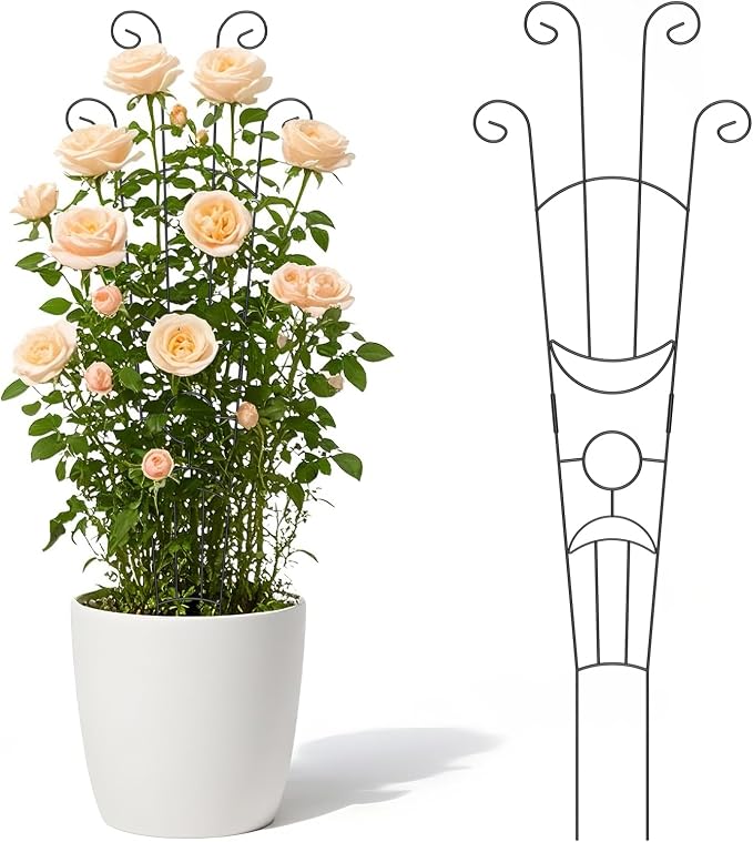 2 Pack 32.6'' Taller Plant Trellis by LUCKJUJU