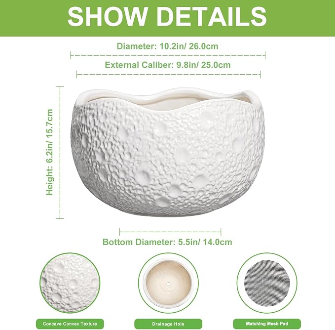 10 Inch Plant Pot - Image 2