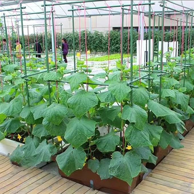 4Feet 48inch Garden Stakes Sturdy Plant Sticks Support Tomato Stakes - Image 5
