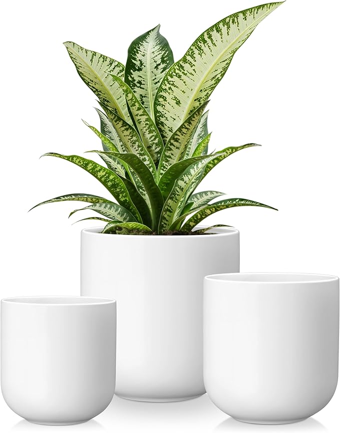 vancasso Ceramic Plant Pots, 4+5+6 inches, Planters by vancasso