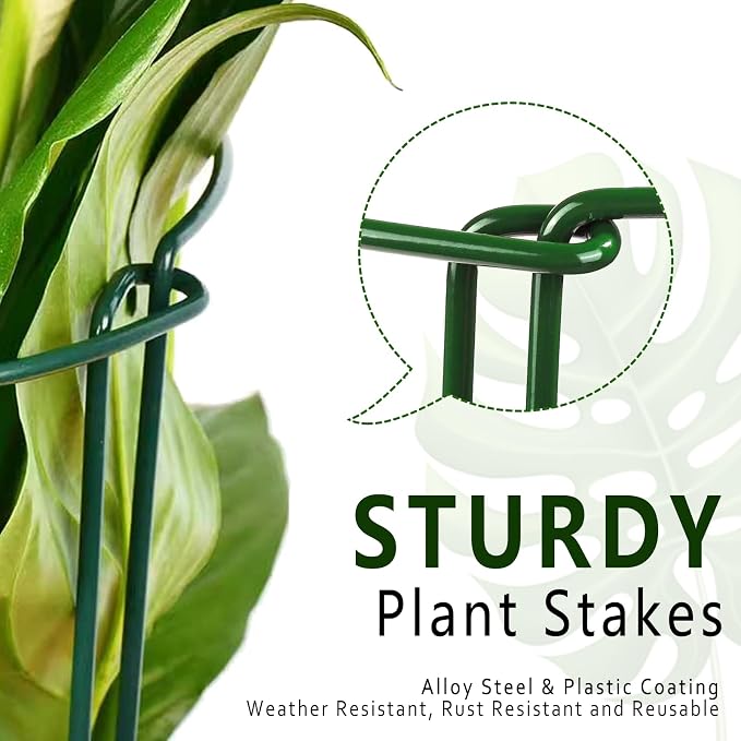 6 Pack Plant Support Stakes, 15.8" Half Round Metal Garden Plant Supports - Image 5