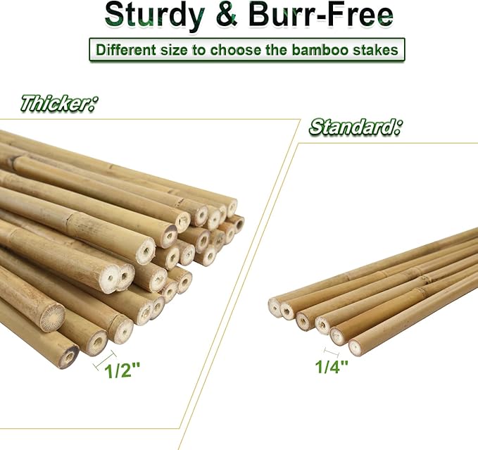 25pcs 1/2" D Thicker Heavy Duty Bamboo Stakes, 4FT Plant Stakes, Natural Garden - Image 5