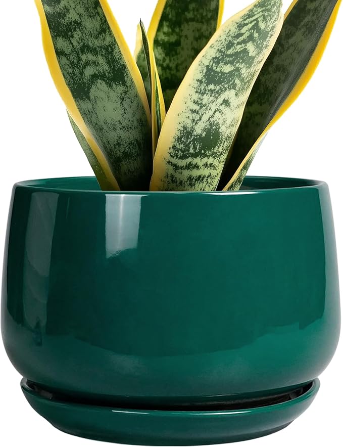 G EPGardening Ceramic Planter for Indoor Plants by GEPGardening