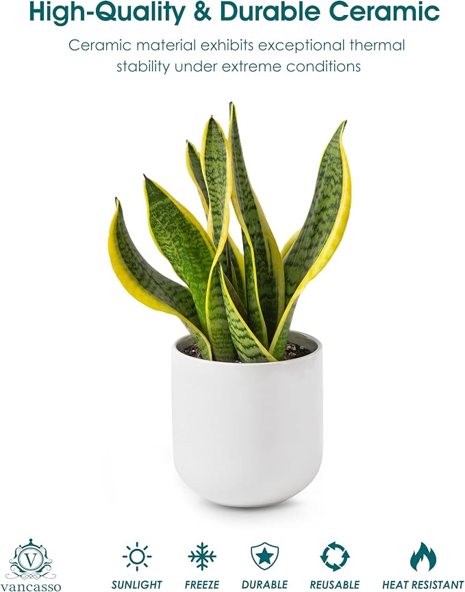 vancasso 6 Inch Ceramic Plant Pots, Planters - Image 4