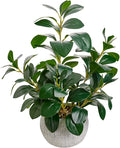 AlphaAcc 17.8 Inch Artificial Ficus Plant Potted Faux Greenery in Gray Round by AlphaAcc