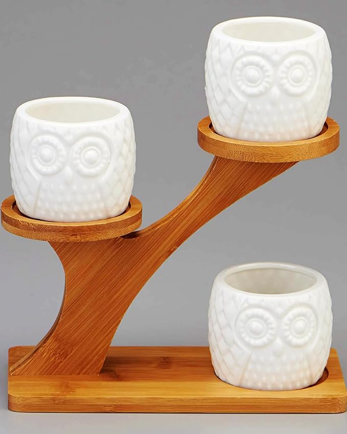 FLOWERPLUS Planter Pots Indoor, 3 Pack 3 Inch White Ceramic Decorative Small - Image 4
