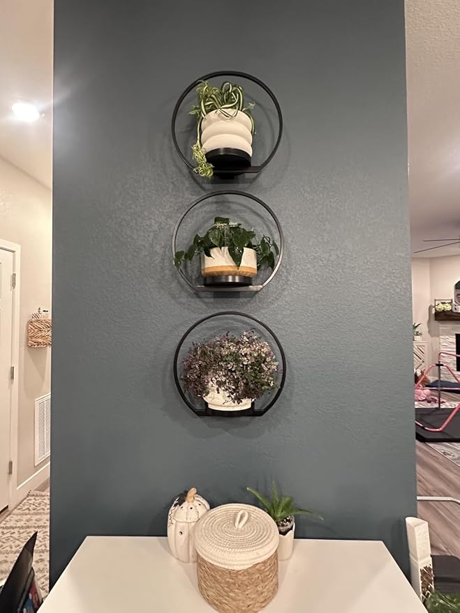 Wall Planters for Indoor Plants, Plant Frames Wall Decor Living Room Plant - Image 2