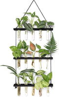 Mkono 3 Tiered Wall Hanging Plant Terrarium by Mkono
