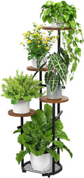 TOSKING 5 Tier Metal Plant Stand Indoor， Plant Shelf, Corner Shelf Flower Pot by TOSKINGESSENCE