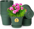 homenote Plant Pots, 15 Pack 6 inch Flower Pots by HOMENOTE