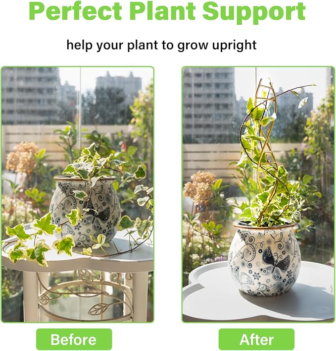 Indoor Plant Trellis for Potted Plants - Image 3