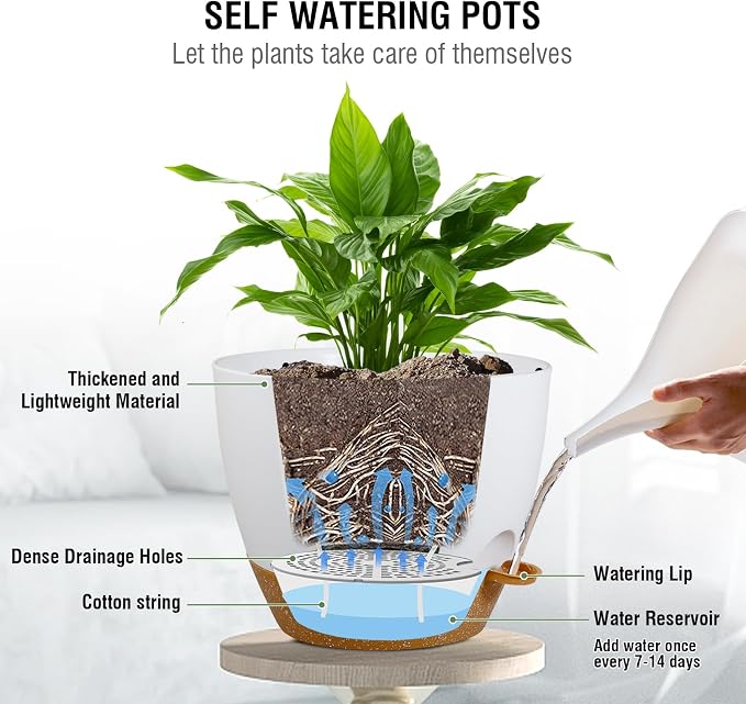 10 inch Self Watering Hanging Planters, 2 Pack Hanging Baskets - Image 3