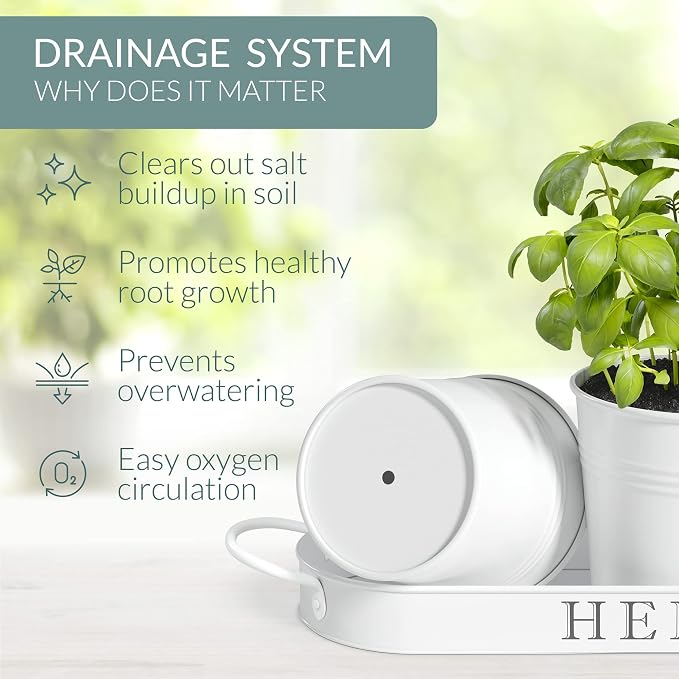 Barnyard Designs Indoor Herb Garden Planter Set - Image 6