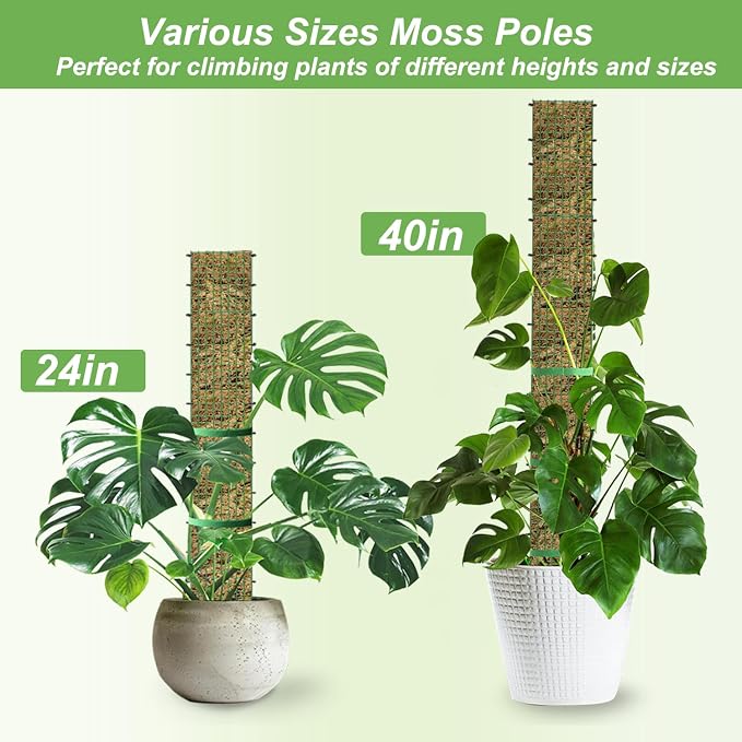 60"/40"/24" Metal Moss Pole, D Shape Sphagnum Moss Pole, Moss Poles - Image 2