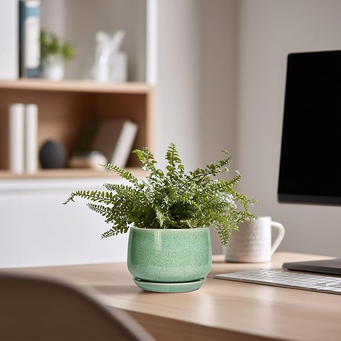 G EPGardening Ceramic Plant Pot - Image 7