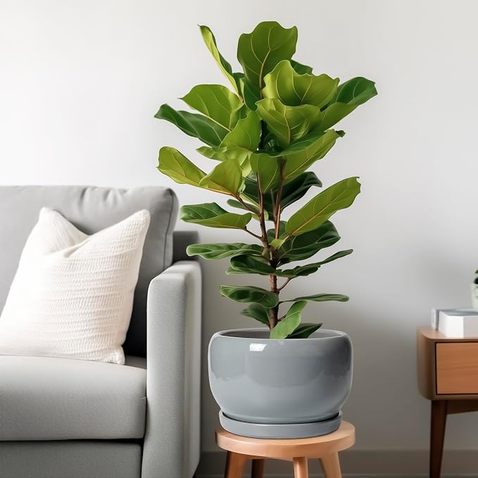 SQOWL 10 Inch Plant Pot - Image 2