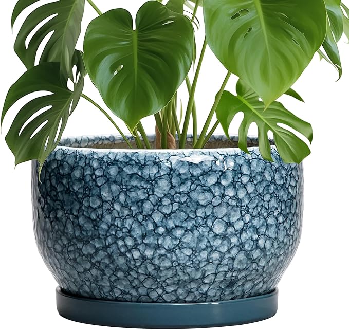 SQOWL Ceramic Planter by SQOWL