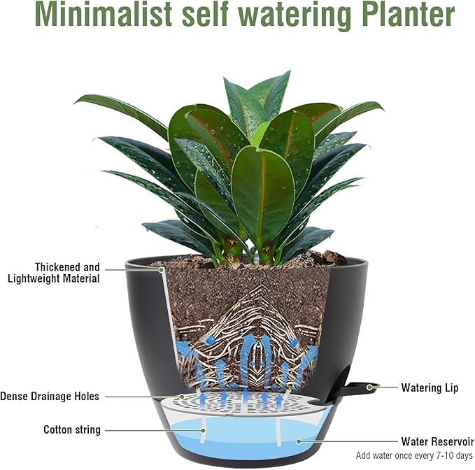 12 inch Large Self Watering Pots - Image 4