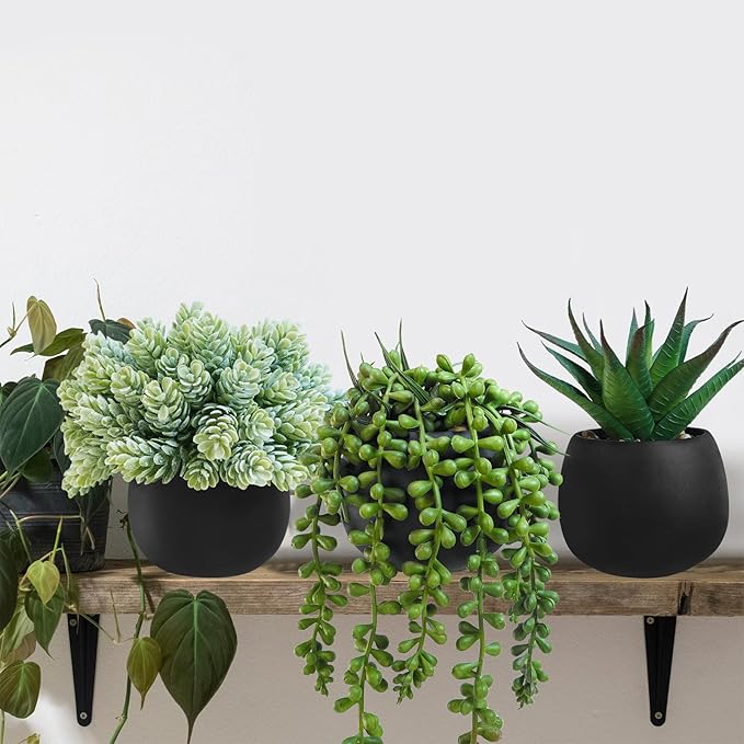 Winlyn Set of 3 Artificial Succulent Plants in Black Concrete Pots Faux Aloe - Image 4