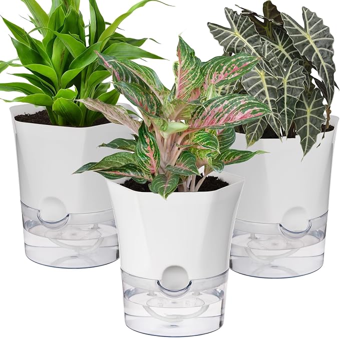 KIMCHOMERSE Self Watering Plant Pots, 6 Inch Orchid Pots, 3 Pack Flowers Pot by KIMCHOMERSE
