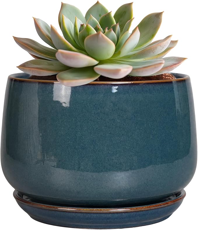 G EPGardening Ceramic Planter 6 Inch by GEPGardening