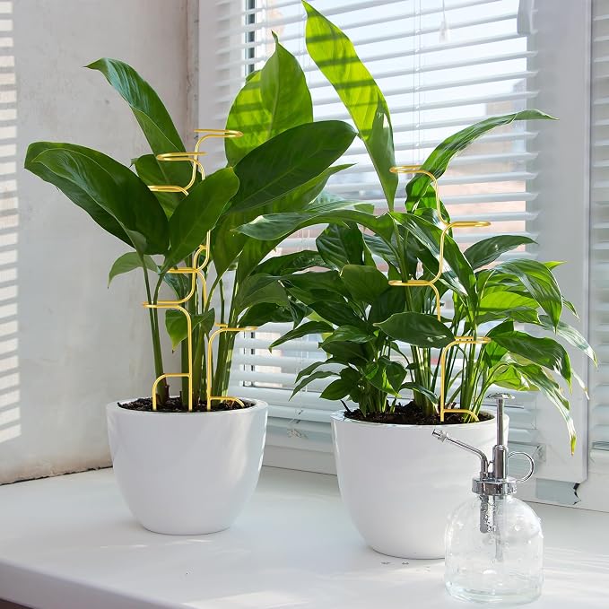 succulentlovers 4PCS Indoor Plant Support Stakes, 12.6 Inch Metal Monstera - Image 5