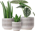 Docrin 3-Pack Ceramic Planters Set by DOCRIN