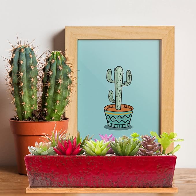Succulent Pots - Large Succulent Planter Pots - Image 5