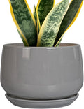 G EPGardening Modern Ceramic Planter by GEPGardening