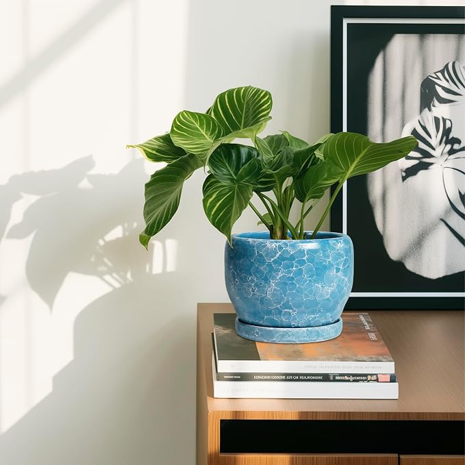 SQOWL 6 Inch Plant Pot - Image 6
