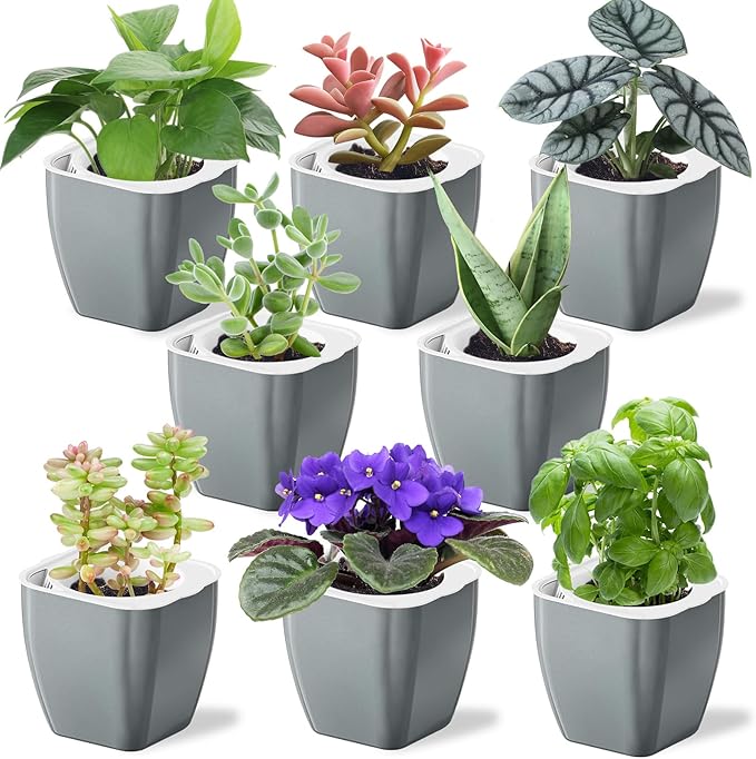 8 Pack 4-inch Plant Pots Indoor Garden Decorative Flower pots Small by Oliz