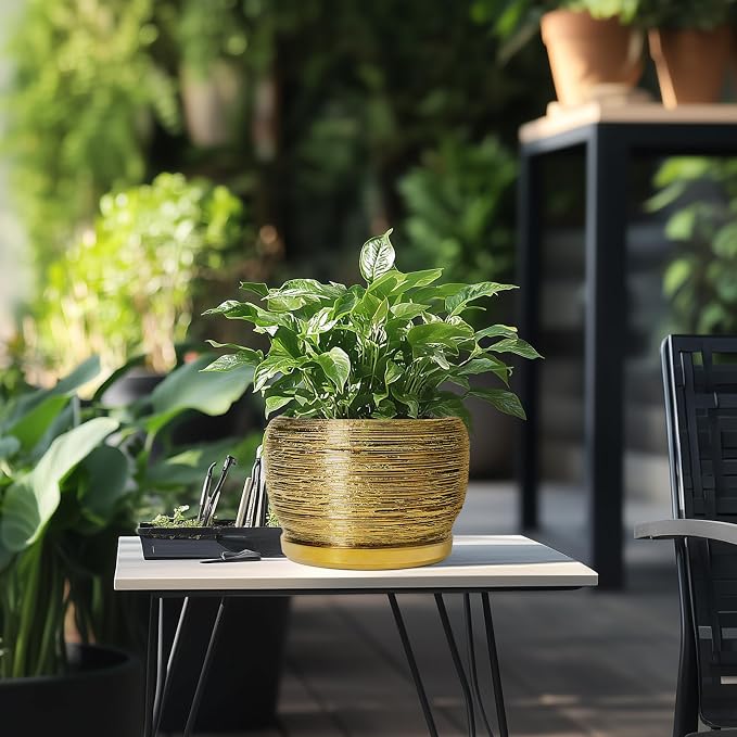 SQOWL Ceramic Flower Pot - Image 5