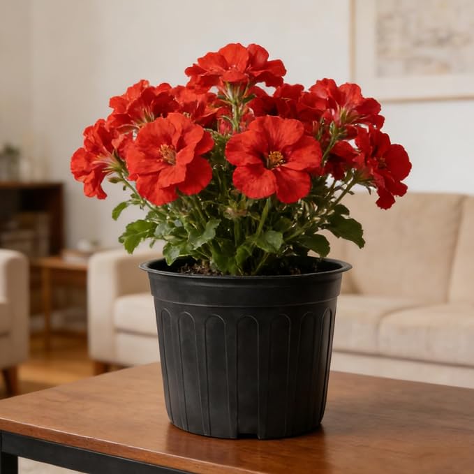 24-Pack 3 Gallon Flexible Plastic Plant Pots - Image 7