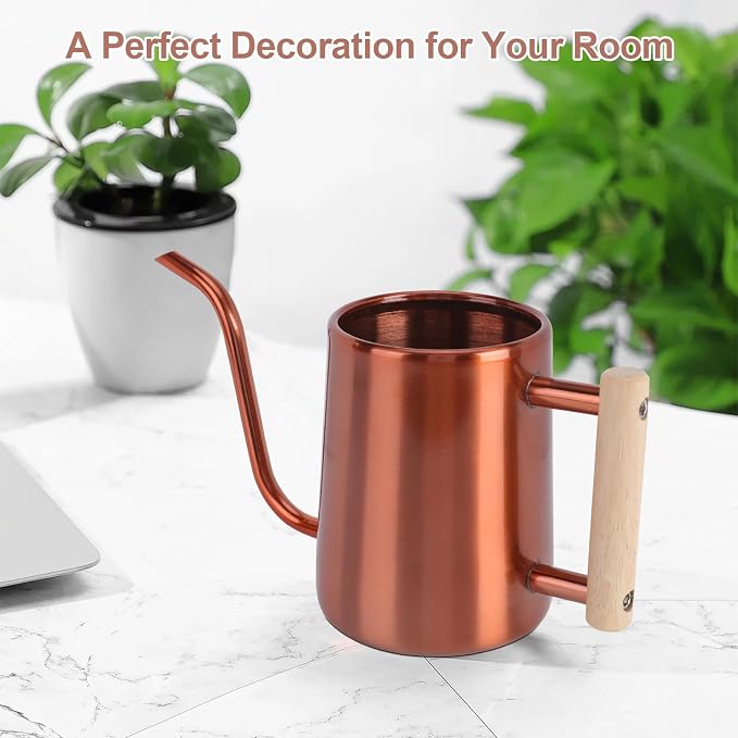 Watering Can Indoor Plants, 35 oz/1000 ml Metal Stainless Steel Watering Can Pot - Image 8