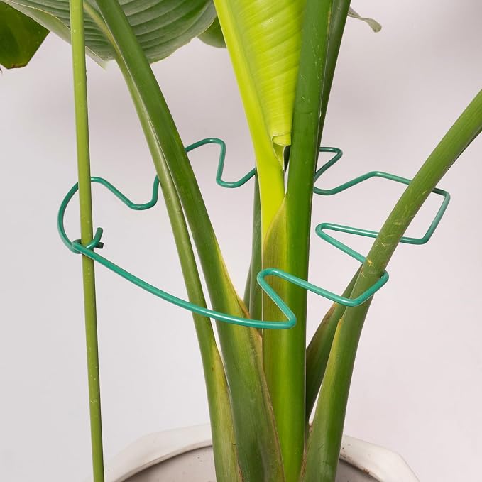 5PCS Green Monstera Plant Stem Support by Yohsnor