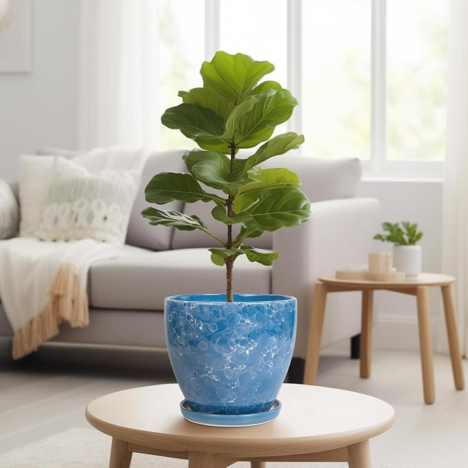 8 Inch Plant Pot - Image 7