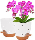 6 Inch Orchid Pots with Holes, 2 Pack Self Watering Planters by Vanslogreen