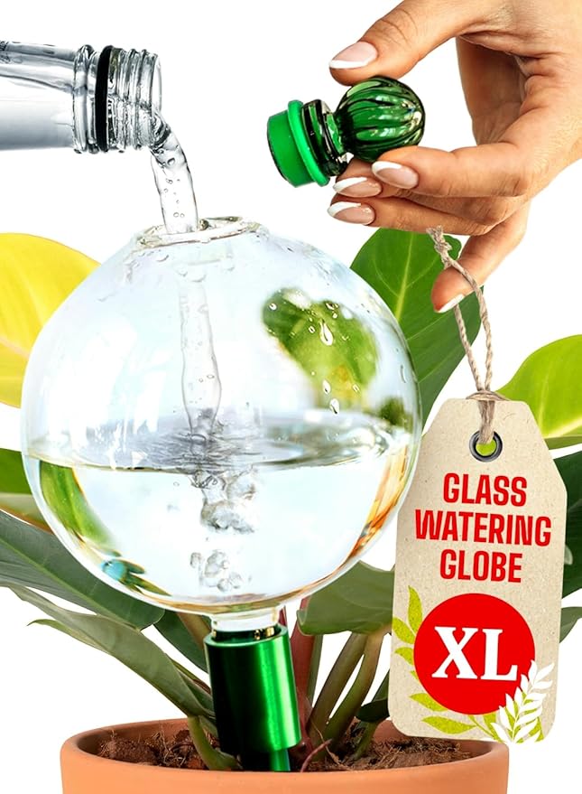 16 Oz Plant Watering Globes for Indoor Plants by GARDENBRO
